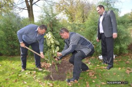 Днес в Голямо Дряново се проведе Фестивал на ореха