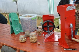 Днес в Голямо Дряново се проведе Фестивал на ореха