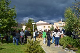 Днес в Голямо Дряново се проведе Фестивал на ореха