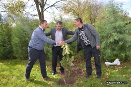 Днес в Голямо Дряново се проведе Фестивал на ореха