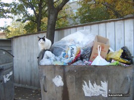 Намереното новородено в контейнер в Казанлък е българче, живо и здраво е