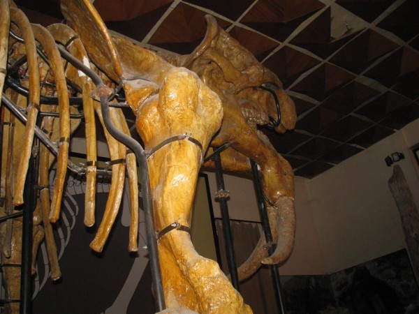 Снимки от казанлъшка експедиция в Златоград показват днес в ИМ “Искра“