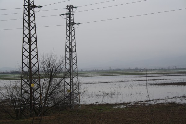 Евакуираха близо 300 души в Нова махала с лодки