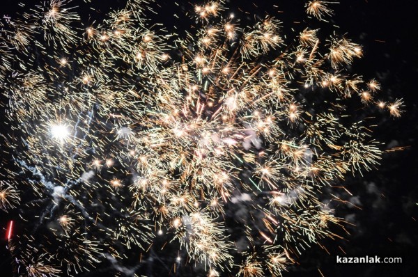 2014 в снимки - КАРТИЧКИ