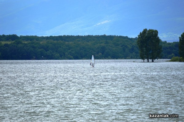 2014 в снимки - КАРТИЧКИ