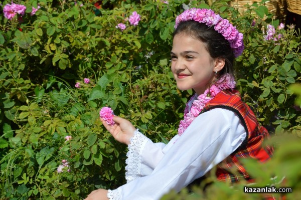 2014 в снимки - ЛИЦА