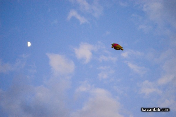 2014 в снимки - КАРТИЧКИ