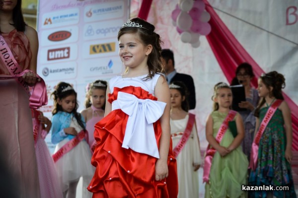 2014 в снимки - ЛИЦА