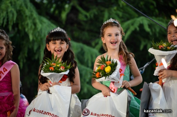 2014 в снимки - ЕМОЦИИ