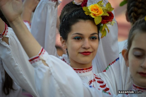 2014 в снимки - ЛИЦА