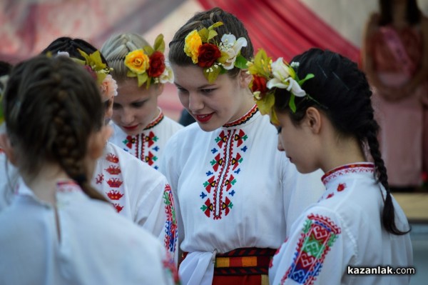 2014 в снимки - КАРТИЧКИ