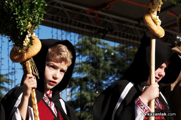 2014 в снимки - ЛИЦА