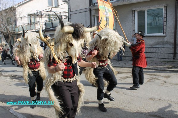 “Зебра“, питон и крокодил на карнавала в Павел баня