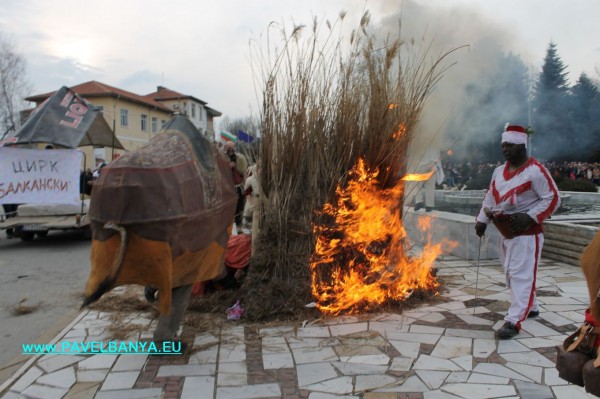 “Зебра“, питон и крокодил на карнавала в Павел баня