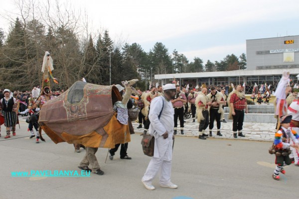 “Зебра“, питон и крокодил на карнавала в Павел баня