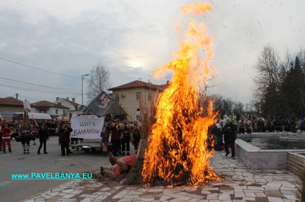 “Зебра“, питон и крокодил на карнавала в Павел баня