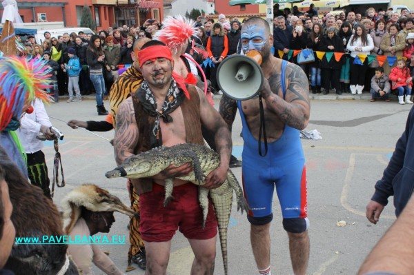 “Зебра“, питон и крокодил на карнавала в Павел баня