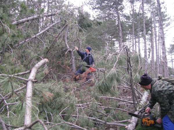 Планинари направиха пътеките над Шипка проходими