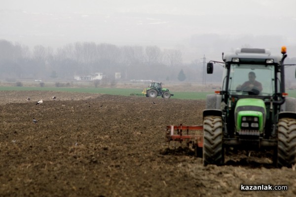 Пристигнаха първите щъркели в казанлъшкия регион /видео и снимки/