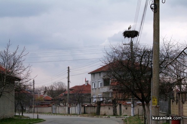 Пристигнаха първите щъркели в казанлъшкия регион /видео и снимки/