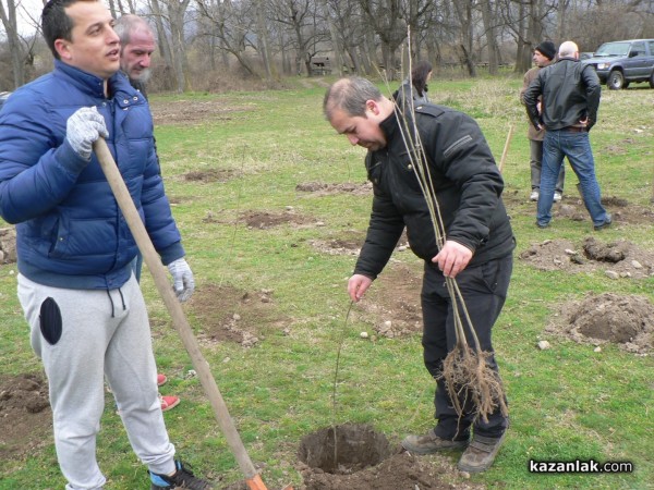 В седмицата на гората ВМРО засадиха 250 дървета в Горно Сахране