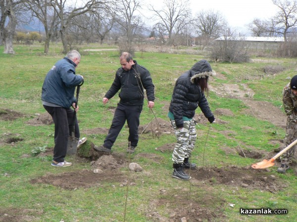 В седмицата на гората ВМРО засадиха 250 дървета в Горно Сахране
