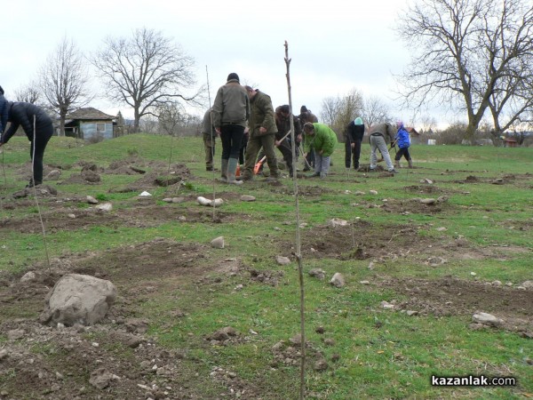 В седмицата на гората ВМРО засадиха 250 дървета в Горно Сахране
