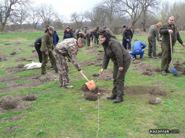 В седмицата на гората ВМРО засадиха 250 дървета в Горно Сахране