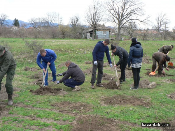 В седмицата на гората ВМРО засадиха 250 дървета в Горно Сахране