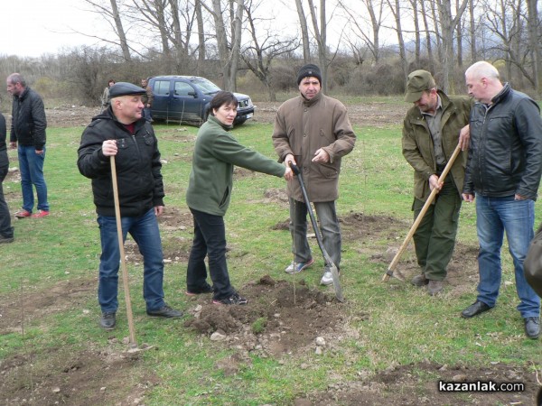 В седмицата на гората ВМРО засадиха 250 дървета в Горно Сахране