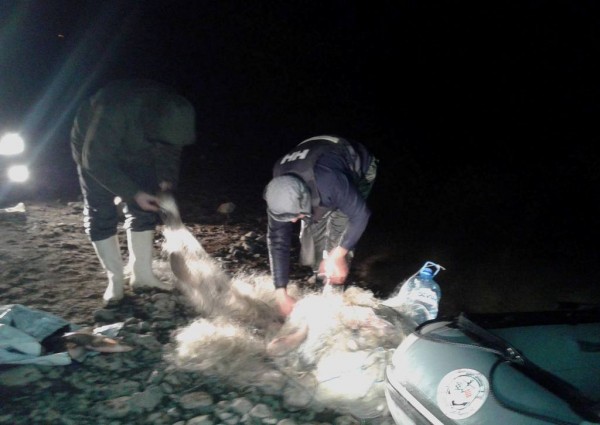 Казанлъшки рибари  извадиха бракониерска мрежа от язовира