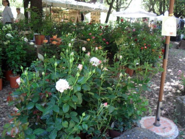 Казанлък се представи на изложението „Дни на розите“ в Италия