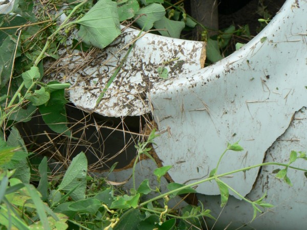 Трабантче по таванче