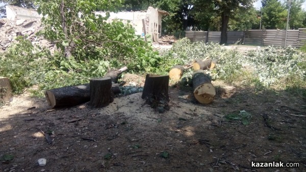 Отсякоха 50-годишни живи кестени заради Музея на розата