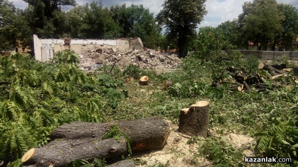 Отсякоха 50-годишни живи кестени заради Музея на розата