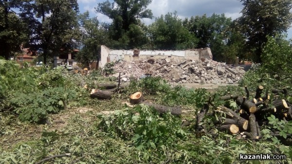 Отсякоха 50-годишни живи кестени заради Музея на розата