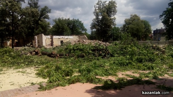 Отсякоха 50-годишни живи кестени заради Музея на розата