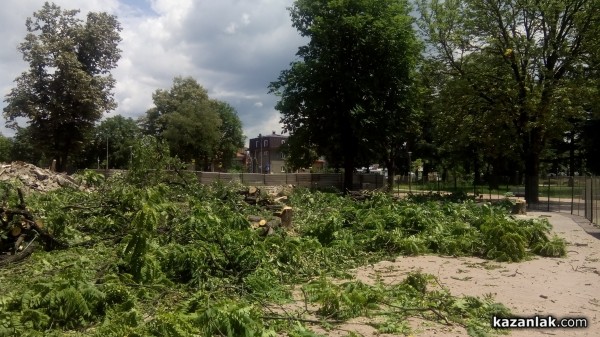 Отсякоха 50-годишни живи кестени заради Музея на розата