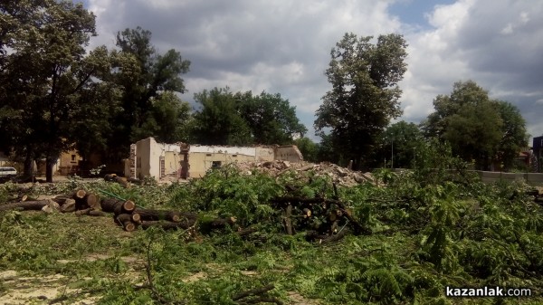 Отсякоха 50-годишни живи кестени заради Музея на розата