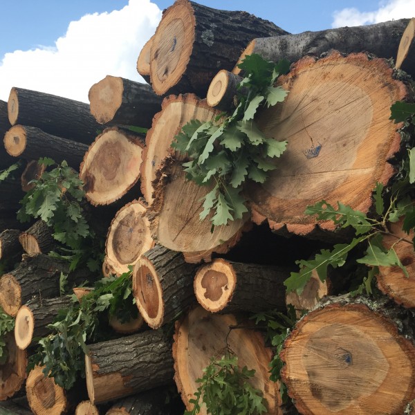 Ново в Казанлък – опаковани дърва за огрев