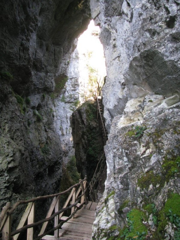 Казанлъшкият клуб по ориентиране постави рекорд