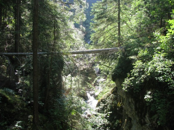 Казанлъшкият клуб по ориентиране постави рекорд