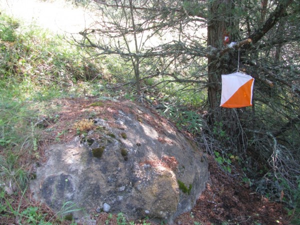 Казанлъшкият клуб по ориентиране постави рекорд