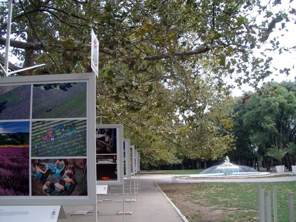 „Благословената долина“ се радва на огромен интерес във Варна