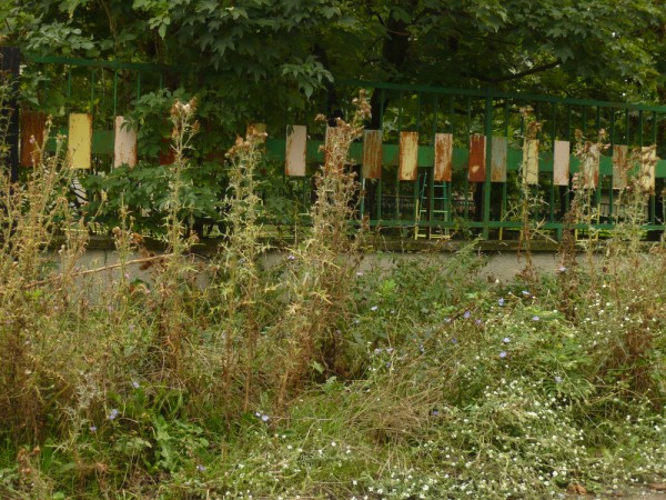 На 26 септември БСП-Казанлък стартира с „Направи добро и предай нататък”