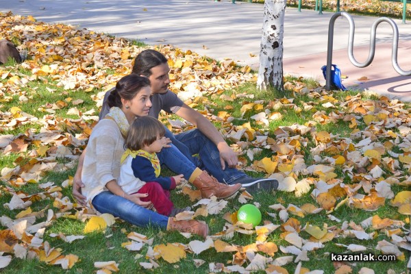 Казанлъшки фотограф подава ръка към Диан Костов
