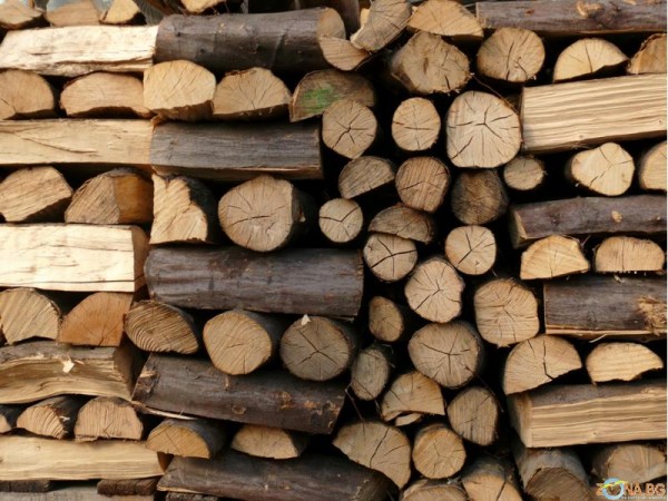 Нелегални дърва складира жена от Тулово / Новини от Казанлък
