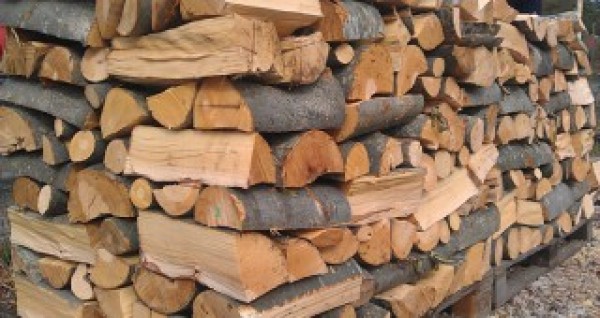 Откриха незаконни дърва в Юлиево  / Новини от Казанлък