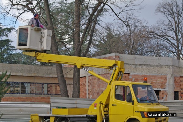 Папагал беглец лети из Казанлък