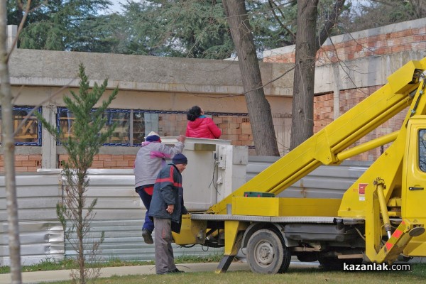 Папагал беглец лети из Казанлък
